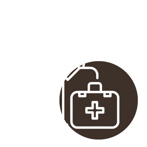 Icon of a first aid kit with a handle and a cross symbol on the front, enclosed within a circular border. Perfect for any veterinarian's toolkit, this icon conveys readiness and reliability in providing essential vet care.