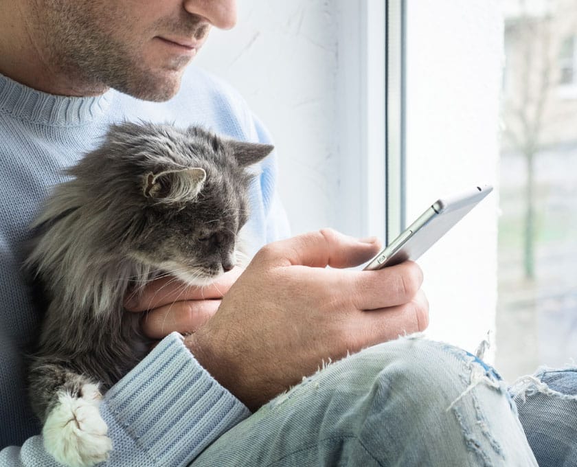 A person in a light blue sweater and ripped jeans holds a gray cat while using a smartphone, possibly checking the next vet appointment. Seated by the window, both seem absorbed by the screen, conveying a sense of relaxation and companionship. The cat appears curious about its upcoming visit to the veterinarian.
