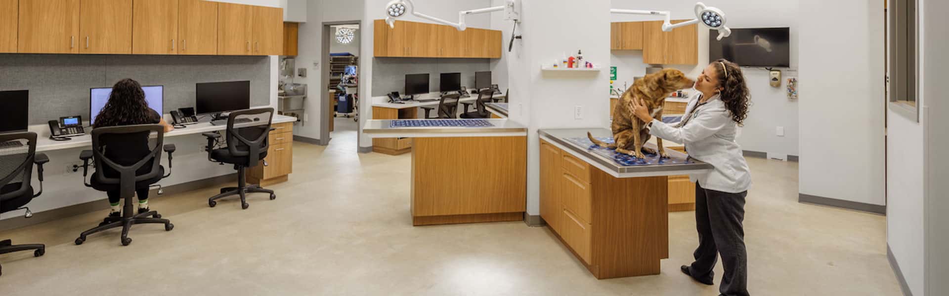 A veterinary clinic with wooden cabinets and countertops. Two people are present; one is working on a computer, and the other is a veterinarian examining a small brown dog on a table. Bright lighting and organized workspace.