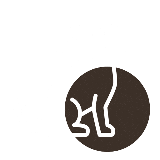 Minimalist white outline of a cat’s hind legs, tail, and part of its body on a dark brown background. The cat is facing away, with most of its body and head out of view.